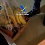 VÍDEO: Intervenidos 1.822 kilos de cocaína ocultos en contenedores que llegaban al puerto de Málaga desde Sudamérica