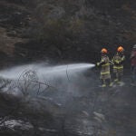 Chile.- Aumentan a 122 los muertos por los incendios forestales en Chile