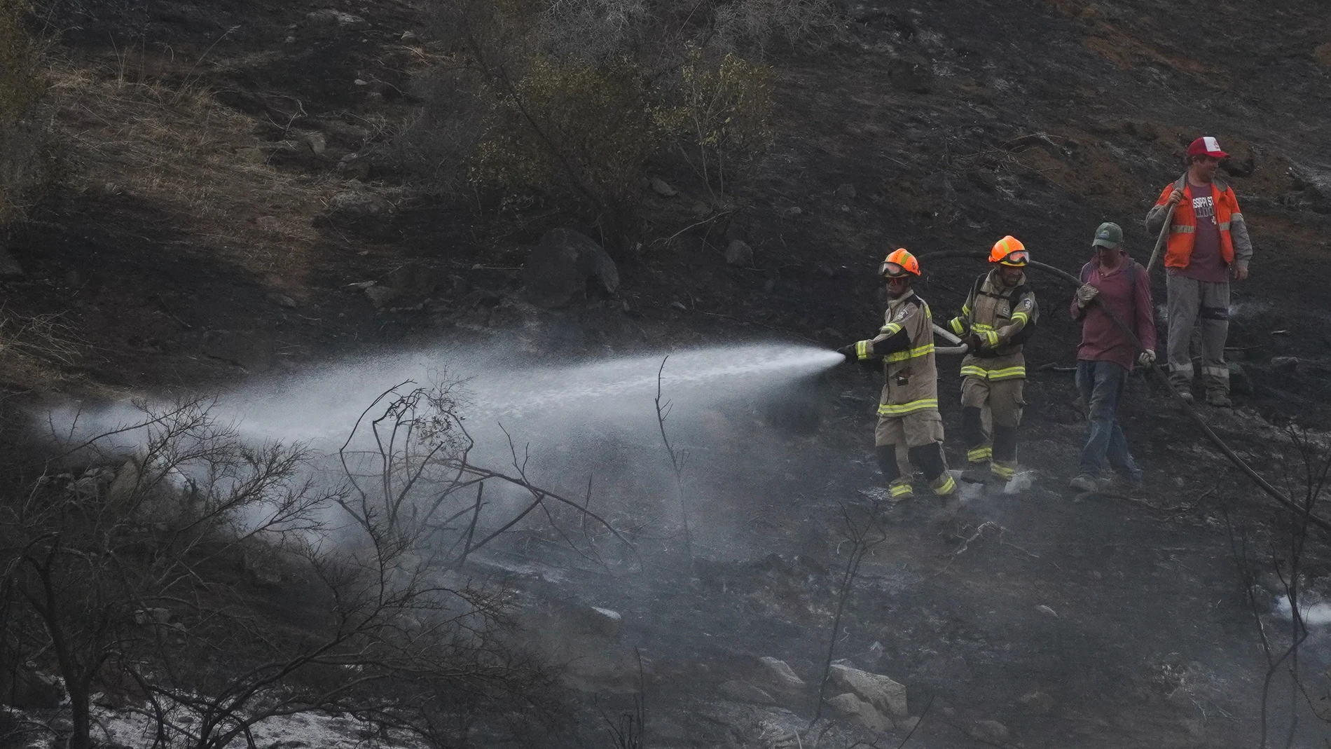 February 4, 2024, Til Til, Metropolitana, Chile: Firefighters extinguish a forest fire in Til Til, Chile. 04/02/2024