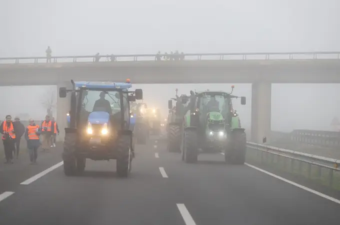 Huelga de agricultores en España: ¿Cuáles son sus demandas al Gobierno?