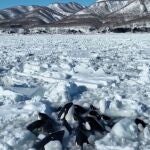 Un grupo de 13 orcas queda atrapado en un gigantesco bloque de hielo 