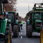 Agricultura.- La Generalitat Valenciana exige al Gobierno "endurecimiento" ante "ataques" que sufren la agricultura y pesca