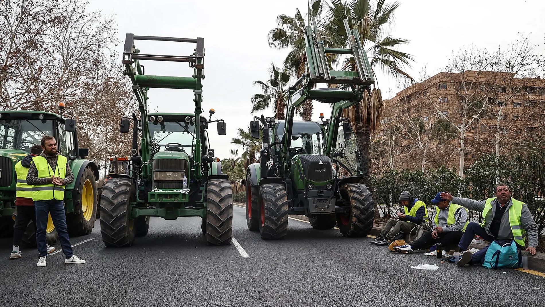 Delegada Valencia reclama que las tractoradas se hagan "de manera regulada" por "grave riesgo" de cortar carreteras