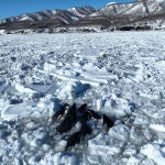 Un grupo de orcas queda atrapado en el hielo frente a la costa del norte de Japón