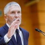 El ministro del Interior, Fernando Grande-Marlaska comparece en el pleno del Senado
