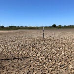 Matalascañas, clave en el deterioro de Doñana