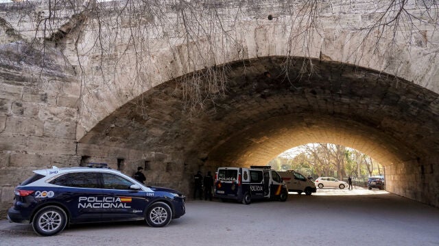 Un hombre mata a pedradas a dos personas bajo el Puente del Real en Valencia