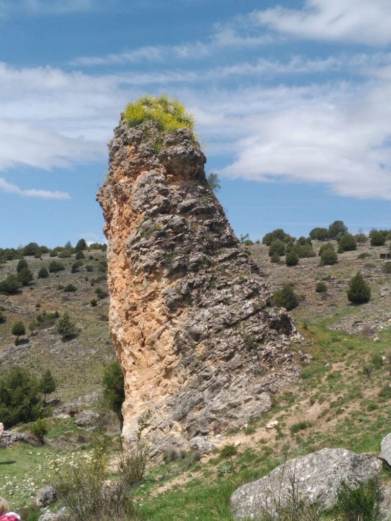 Resto de uno de los arrecifes