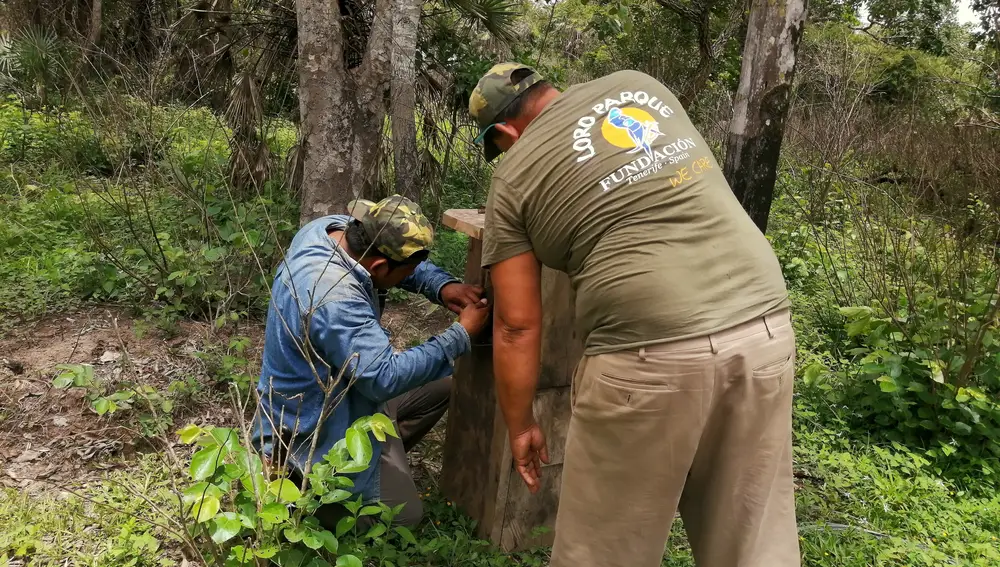Biólogos desarrollando trabajo de campo en el proyecto de conservación de LPF con el Guacamayo Barbazul