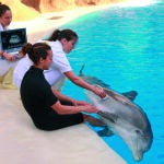  Proyecto de investigación con delfines en Loro Parque