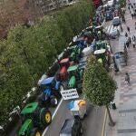 Tercera jornada de protestas de los tractores en las carreteras españolas para pedir mejoras en el sector