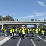 Los agricultores andaluces han protagonizado cortes de carreteras y autovías