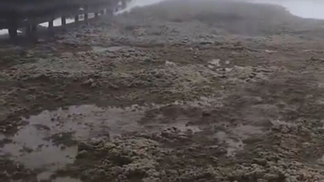 Una corriente de barro obliga a desalojar varias pistas de Sierra Nevada 