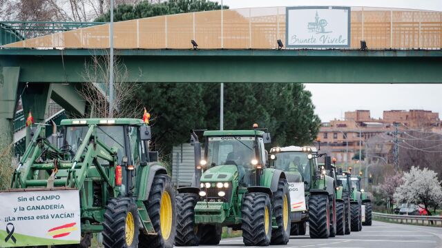 Los ramales madrileños de tres organizaciones agrarias protestarán este miércoles ante Mercamadrid