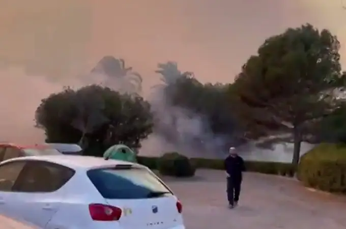 Nuevo incendio con varios focos en El Saler (Valencia): 