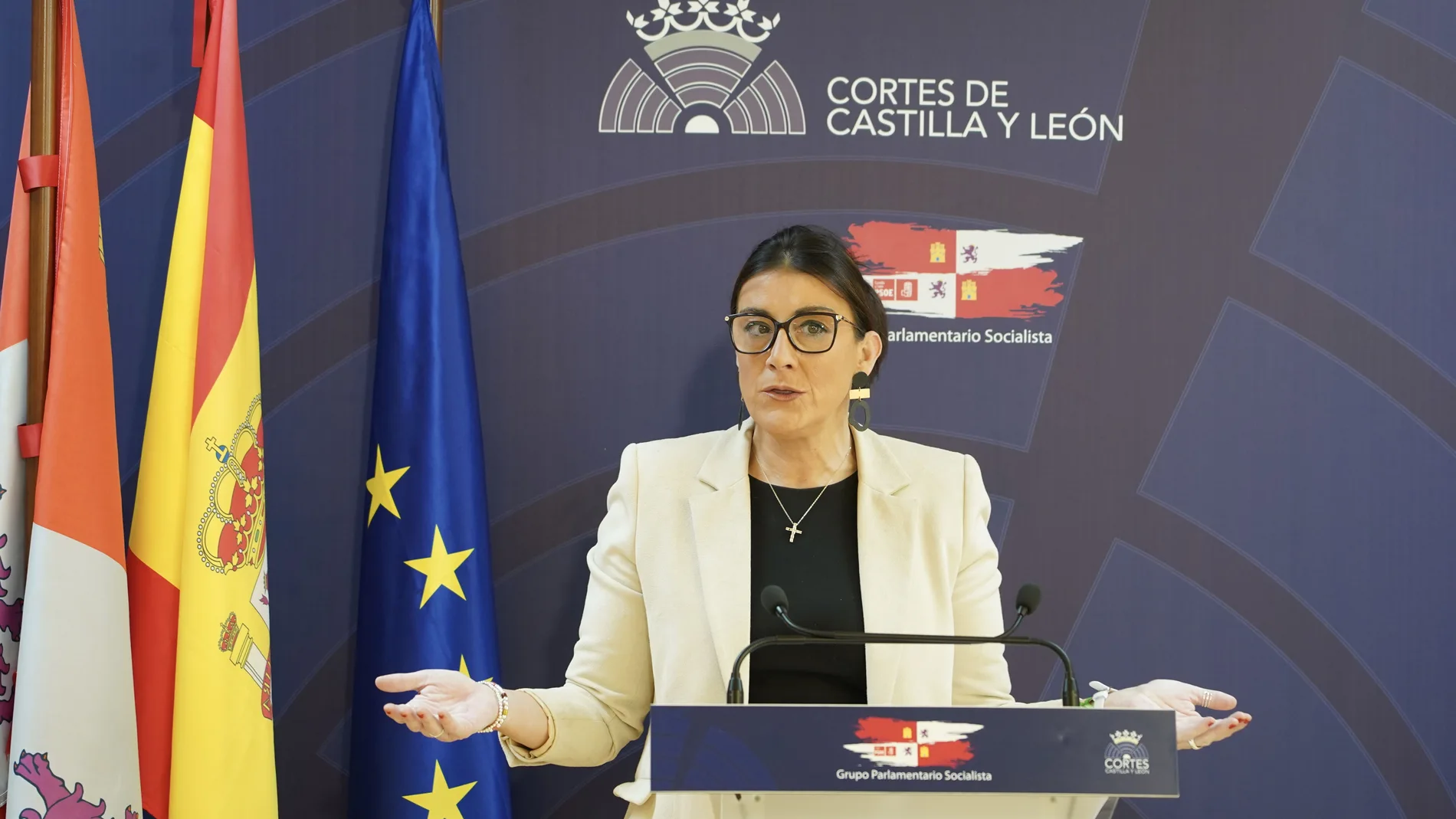 La secretaria de Organización del PSOE en Castilla y León, Ana Sánchez, durante la rueda de prensa