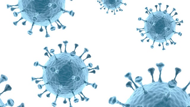 La viruela (o virus) de Alaska fue descubierta en 2015 y de momento ha dejado un muerto, lo que ha alertado a las autoridades