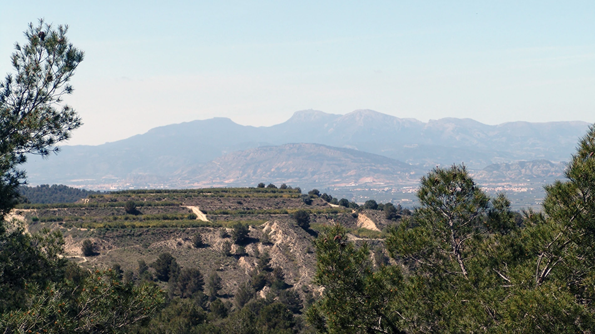 Las rutas ambientales invitan a los ciudadanos a descubrir las canteras escondidas y a visitar el Pico del Águila
