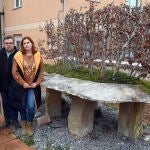 Museo del Bonsai en Burgos