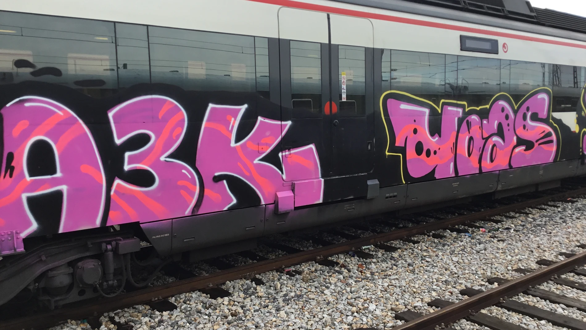 Renfe destinó durante el pasado año 860.000 euros a la limpieza de grafitis en trenes de Euskadi RENFE 19/02/2024