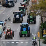 Tractores de toda Mallorca participan en una tractorada que recorre las calles de Palma para defender el campo balear