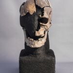 El cráneo objeto de la investigación 