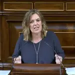 La diputada del PP por Palencia, Milagros Marcos, interviene en el Congreso 