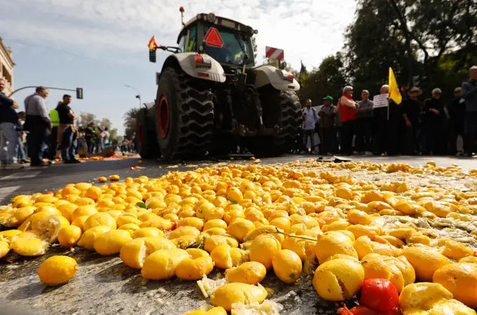 Clamor agrícola en la Región de Murcia: «El campo está asfixiado por los abusos»