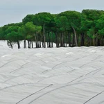 Imagen de cultivos en el entorno de Doñana