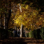 Otoño en el Parque del Retiro.