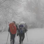 La nieve provoca dificultades para circular por carreteras de A Montaña de Lugo
