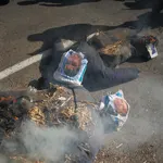 Economía.- Agricultores queman muñecos con la cara de Sánchez y Planas a las puertas de la sede de la Comisión Europa