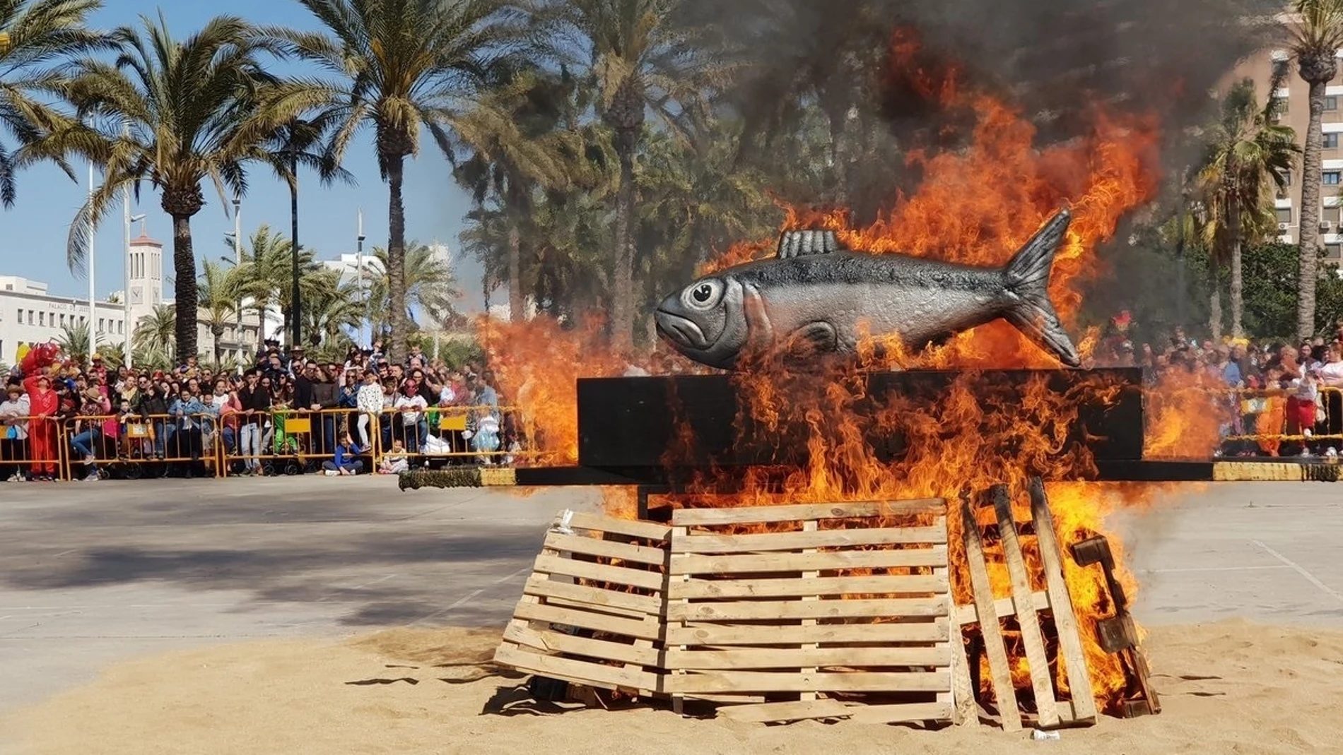 Con el "Entierro de la Sardina", que este año tiene lugar el Día de Andalucía, finaliza el Carnaval de Almería