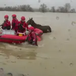 Llama a los bomberos para salvar a su caballo, que se estaba ahogando, debido al desbordamiento del río Zadorra
