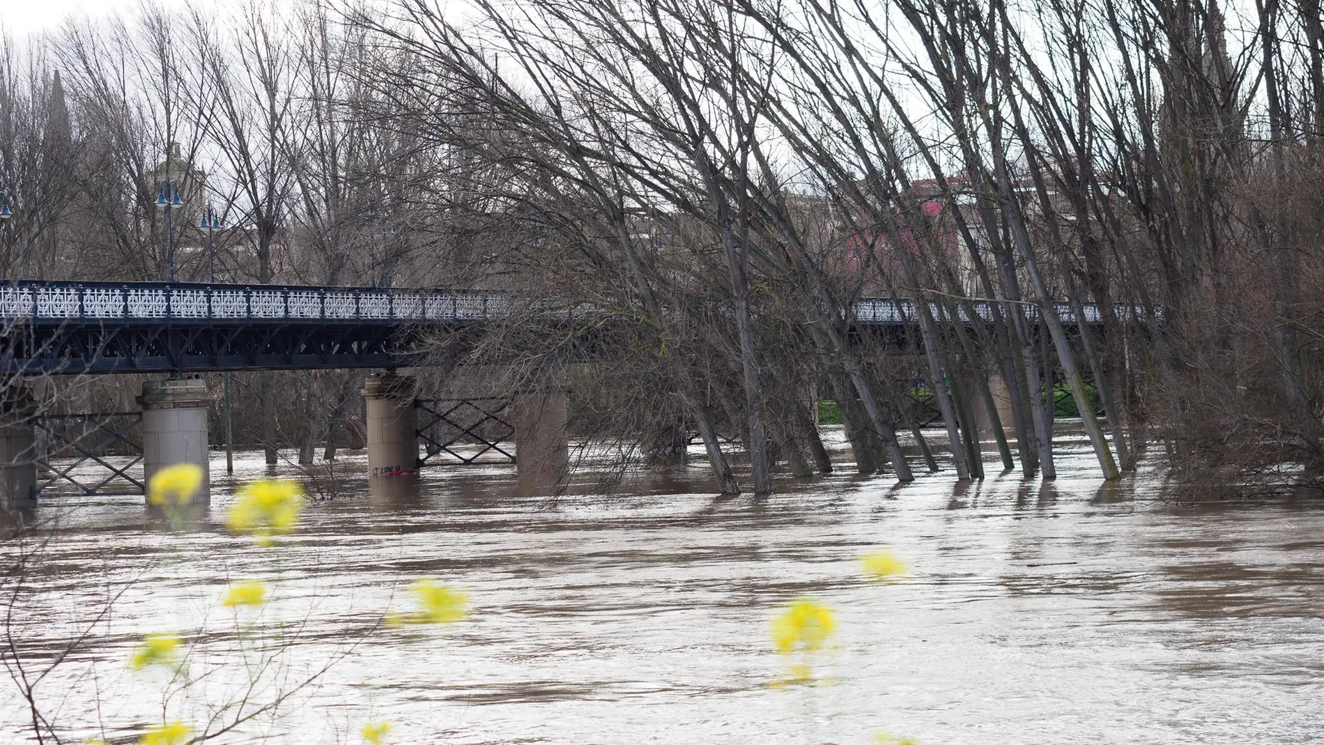 El río Ebro ha alcanzado hoy en Logroño 950 metros cúbicos por segundo de caudal