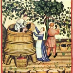 El vino, con todo sus variantes, es una bebida representativa de la zona mediterránea