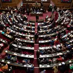Francia.- El Senado francés da 'luz verde' a incluir el derecho al aborto en la Constitución