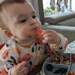 El bebé puede comer sentado en la mesa con el resto de la familia