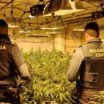 MURCIA.-Desmantelan en Abarán un grupo delictivo dedicado al cultivo ilícito de marihuana y detienen a sus 4 integrantes
