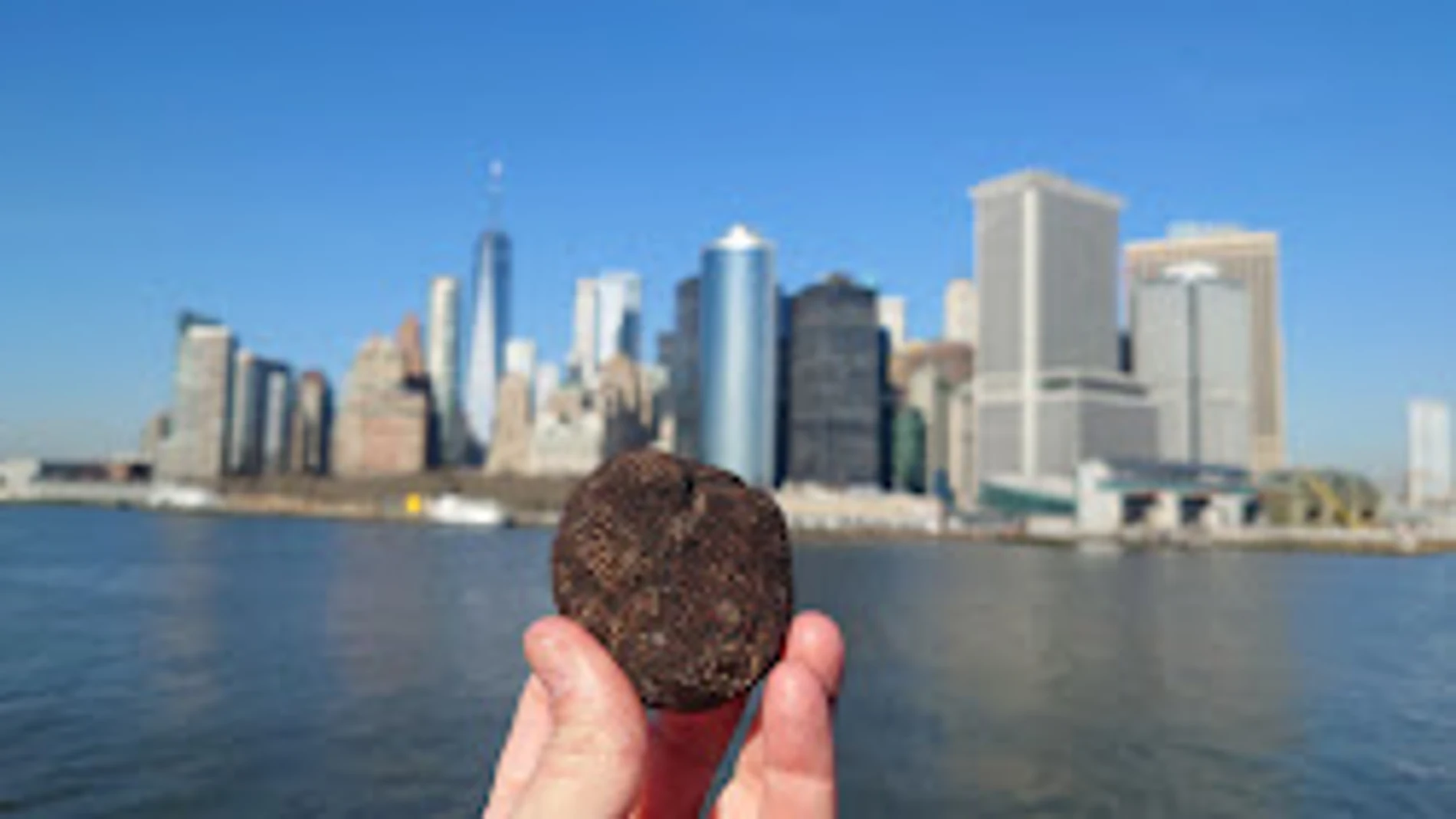 La trufa negra en Nueva York