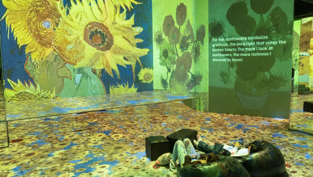 El Mundo de Van Gogh - Exposición Inmersiva. David Jar