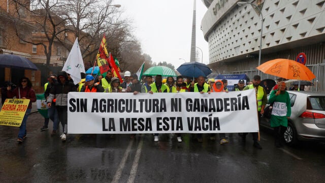 Agricultores de municipios sevillanos se manifiestan en la capital hispalense