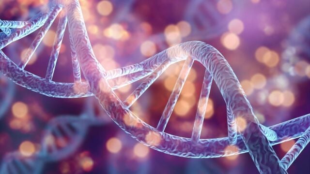 ¿Qué manda más, nuestra personalidad o nuestros genes?