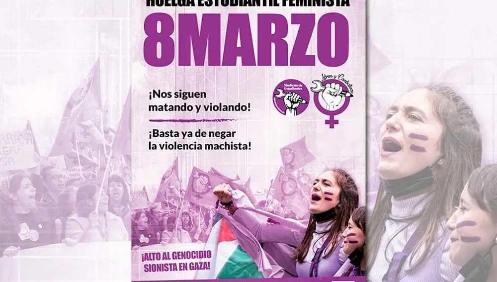 Cartel Huelga Estudiantil Feminista 2024