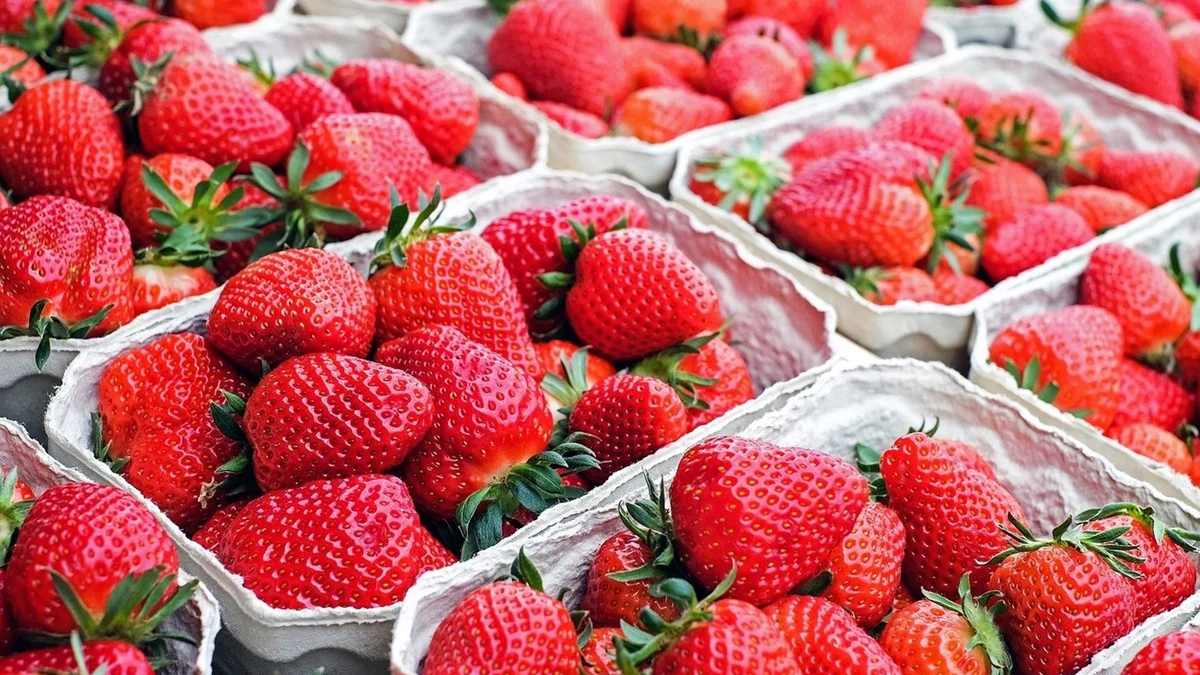 Así puedes comprobar si las fresas que compras son españolas o marroquíes