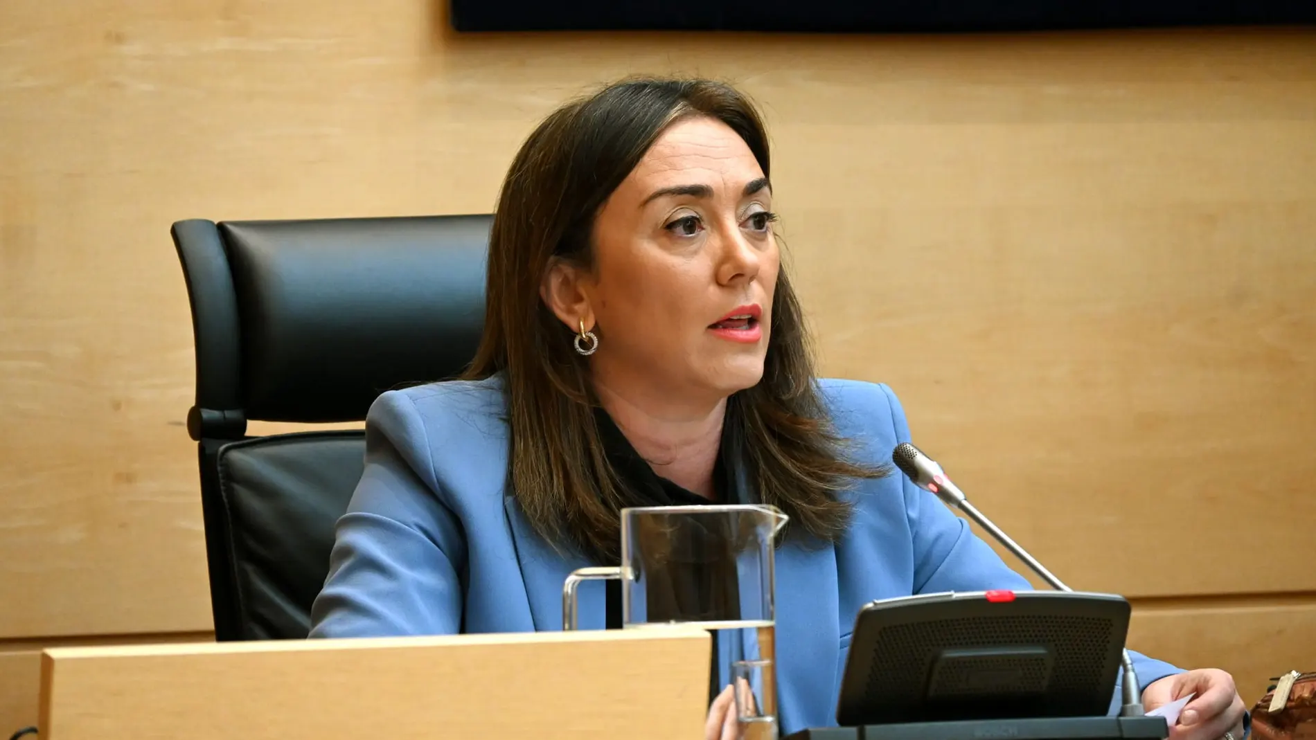 María González Corral durante su comparecencia en las Cortes