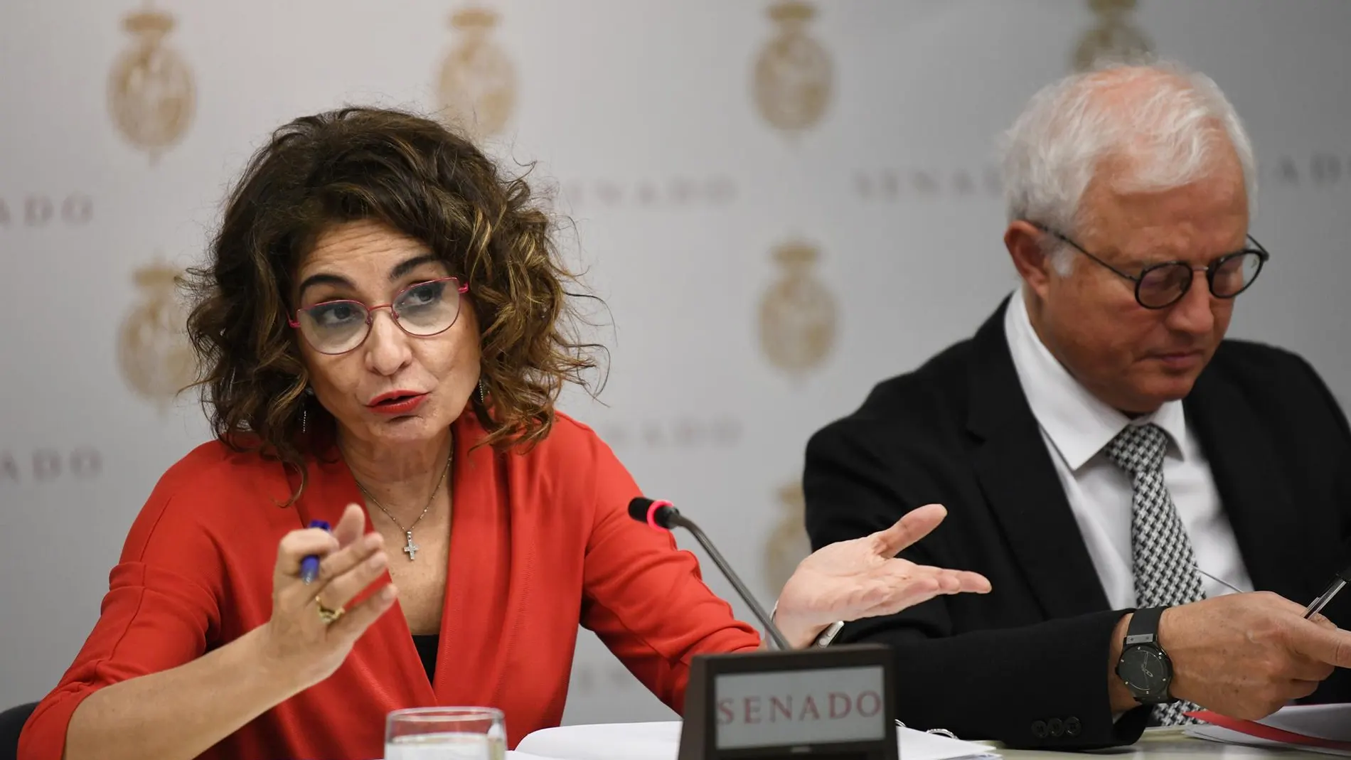 La ministra Montero, en el Senado