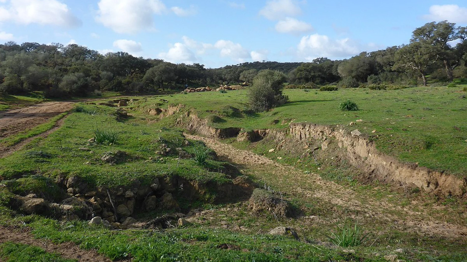 La Sierra del Retín, en Barbate (Cádiz), es una zona militar con acceso restringido