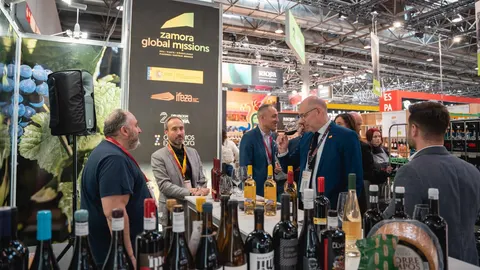 Stand de la Diputación de Zamora en la Feria Prowine de Düsseldorf