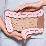 Ilustración de los intestinos